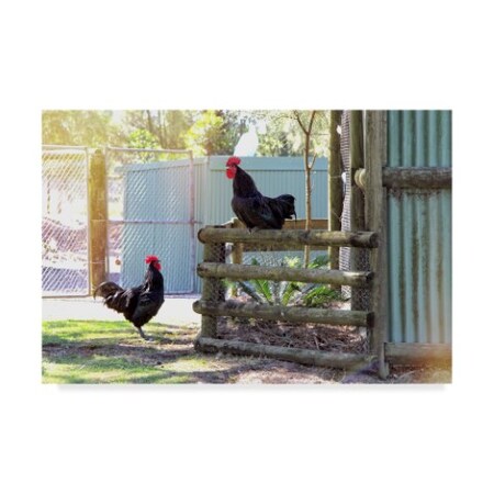 Trademark Fine Art Incredi 'Farm Conversations' Canvas Art, 16x24 ALI36118-C1624GG